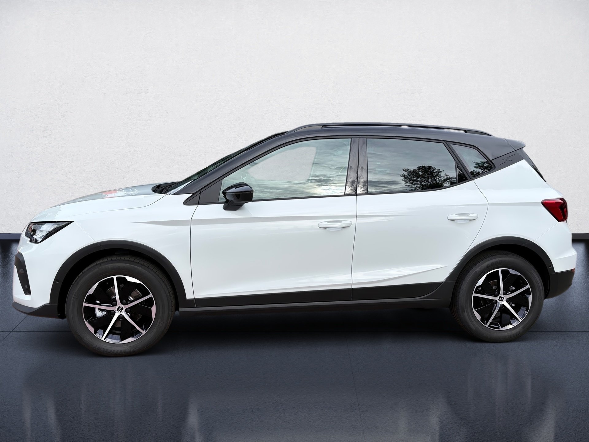 Arona 1.0 TSI 85 kW Style ACC AUT DynLicht Kam.
