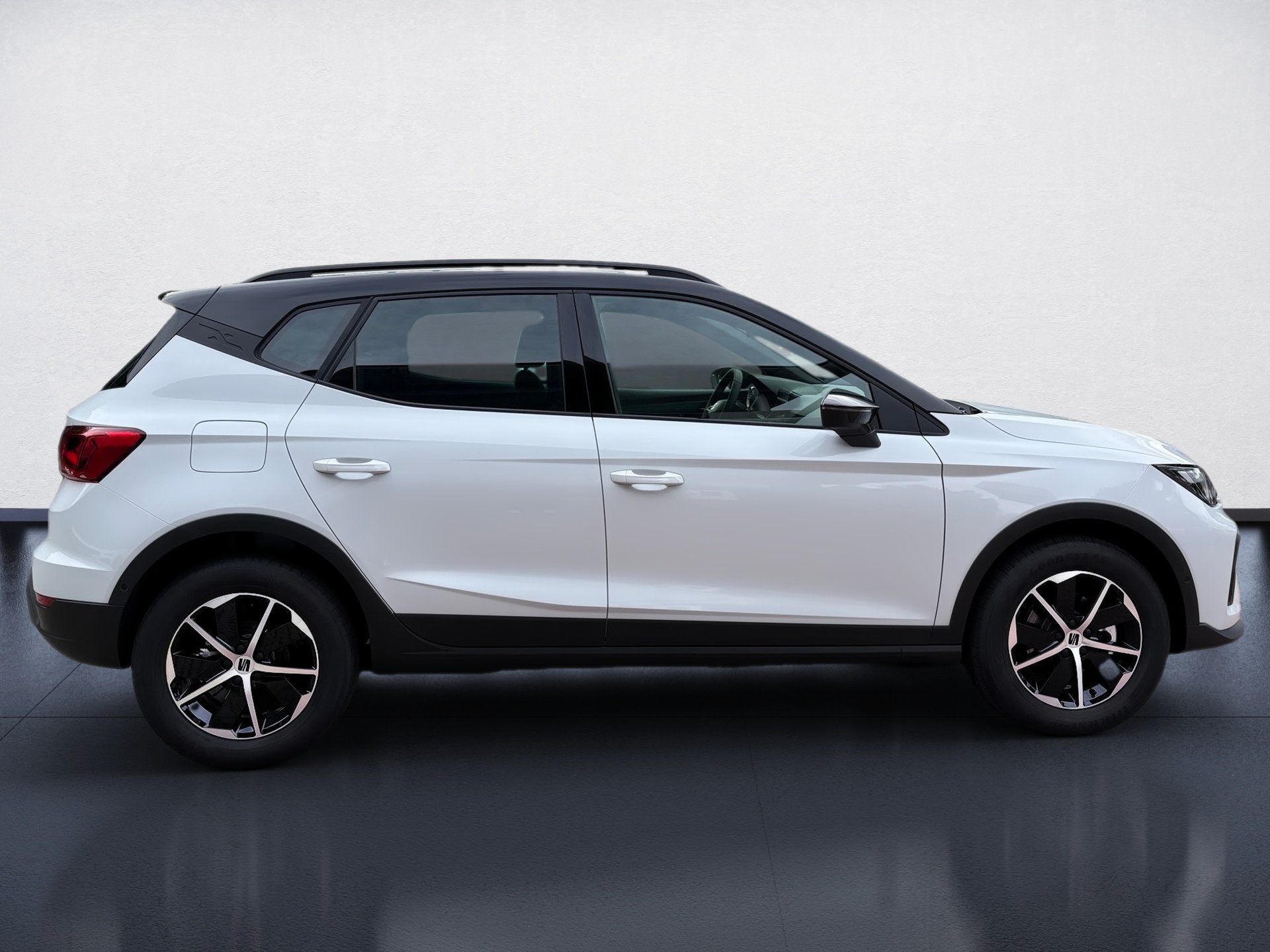 Arona 1.0 TSI 85 kW Style ACC AUT DynLicht Kam.
