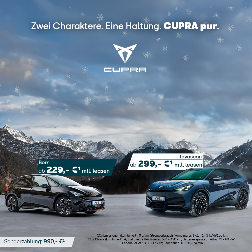 1000x1000px_Born_Tavascan_Bestellaktion