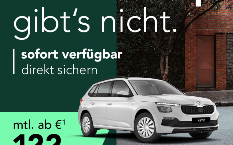  Škoda Kamiq Lagerwagen