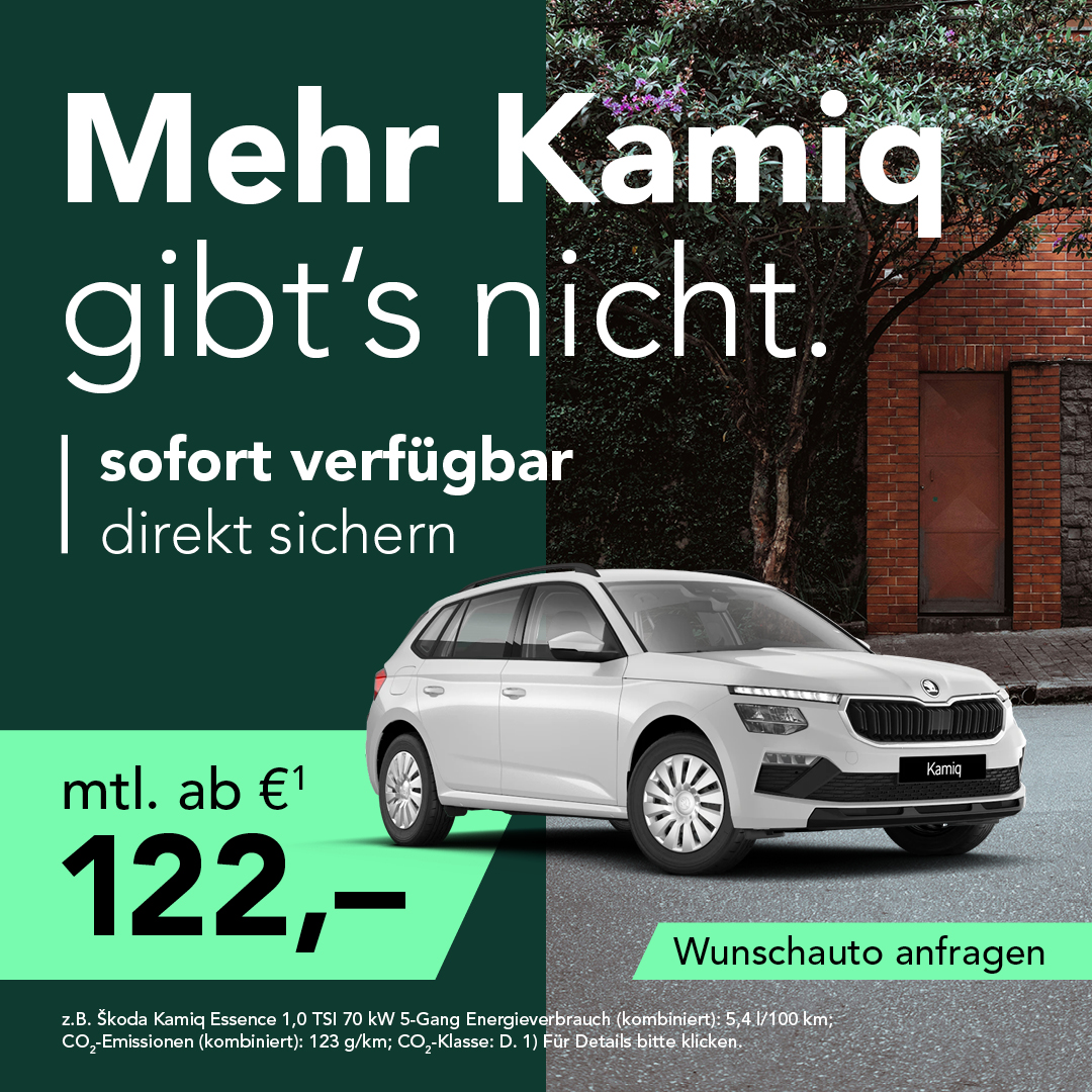 BEITRAG Skoda Kamiq Lagerwagen BEITRAG Skoda Kamiq Lagerwagen