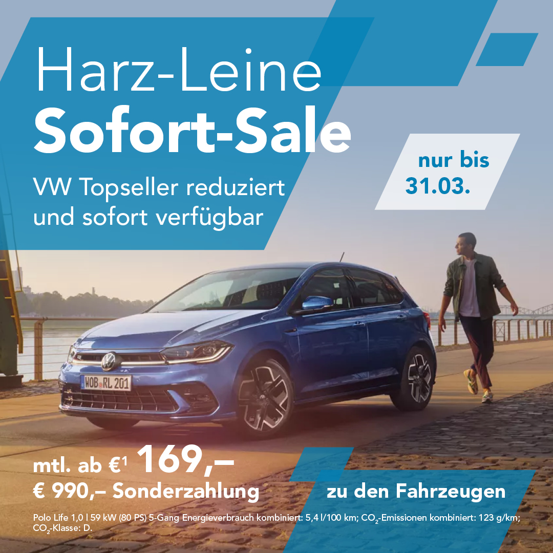 BEITRAG VW Lagerwagen Leasing